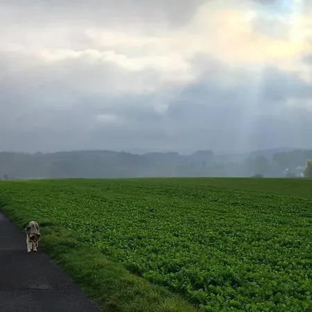 Jedermanns Nest Апартаменты *