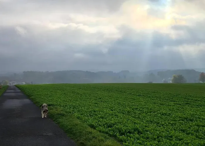 Jedermanns Nest Apartamento *